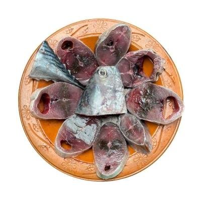 সামুদ্রিক টুনা মাছ